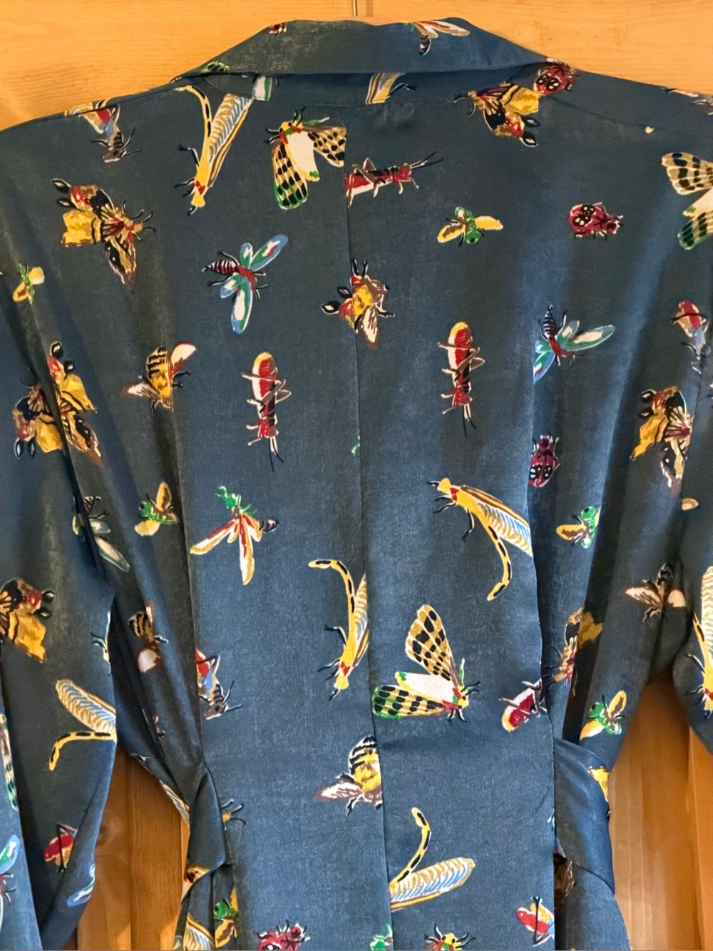 Zara Teal Long-Sleeve Bug & Butterfly Shirt Dress - Picture 4 of 5